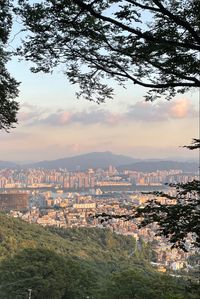 Seoul, South Korea, Korea, travel, summer, world, explore, buildings, trees, city, city life, sunset, view, mountains, location