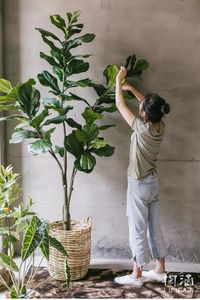 Most Realistic Cheap Indoor 120cm 47in Artificial Ficus Lyrata Banyan Fiddle Leaf Fig Tree, View artificial ficus tree indoor, EasyNature, EasyNature Product Details from Shenzhen NatureEasy Crafts Design Co., Ltd. on Alibaba.com