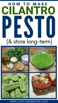 Today I will show you how to make this easy and fast cilantro pesto recipe and store it long-term so you can use it year-round when needed.