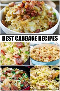 The Best Cabbage Recipes