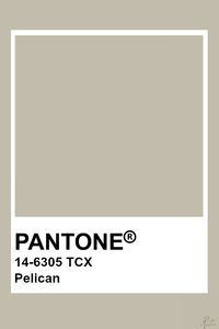 Pantone Pelican