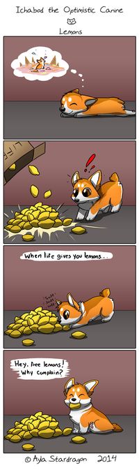 Ichabod the Optimistic Corgi