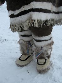 Inuit Eskimo reference