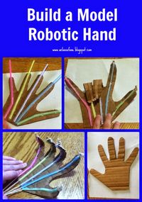 "Be The One" : Apologia Anatomy & Physiology Unit Three: Build A Model Robotic Hand