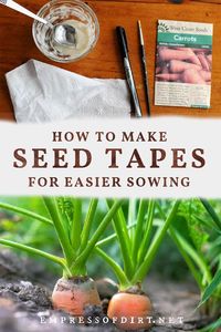 How to Make Seed Tapes for Easier Sowing | Empress of Dirt