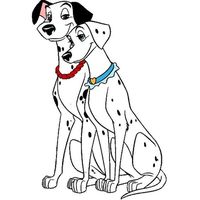 ♔ Les Dalmatiens ♔ Dalmatian Dogs