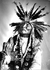 “The animals want to communicate with man, but Wakan-Tanka does not intend they shall do so directly, man must do the greater part in securing an understanding”. --Brave Buffalo, Teton Sioux