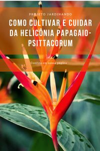 Informações para um cultivo da planta helicônia Papagaio - Psittacorum. Guia com fotos, informações e dicas de cultivo. Como cuidar de Helicônias em jardins. #Helicônia #Jardinagem