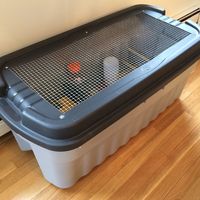 In preparation for my first flock of chicks I built this brooder.  I had no idea what to expect or how fast they would grow but this was quite sufficient for the first 3 weeks.  I searched for the …