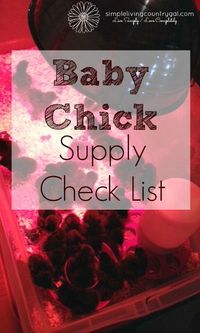 Before your new baby chicks arrive at your home it is important to be ready and…