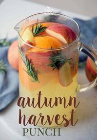 Autumn Harvest Punch Recipe (Mocktail) via @fivespotgrnvlvng #mocktail #drinks #drinkrecipe #autumn #fall