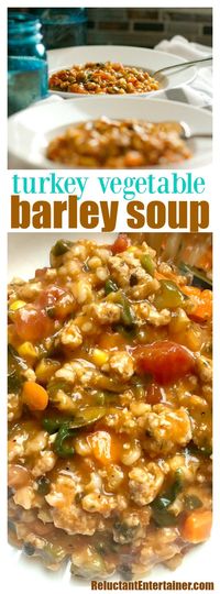 Turkey Vegetable Barley Soup - Reluctant Entertainer