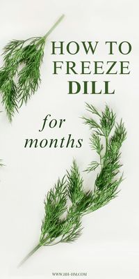 How to Freeze Dill for Months - Her Highness, Hungry Me