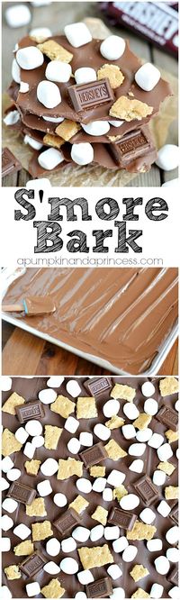 S'more Bark recipe and tutorial... looks easy!