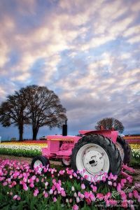 John Deere in Pink girly pink nature flowers field farm tractor john deere