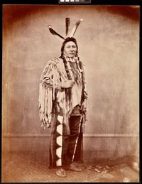 Itazipacola Lakota (Sans Arc Sioux) delegate Chief Se-tan-Si-tan (Che-tan-zhi; Yellow Hawk). Collection Creator: Alexander Gardner. NMAI.AC.077. Date: February 23, 1867; William T. Sherman collection of Alexander Gardner photographs, P 10150; National Museum of the American Indian Archive Center, Smithsonian Institution.