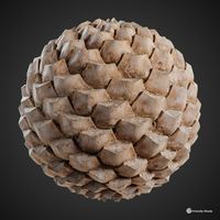 ArtStation - Palm Tree Bark 02 and Bundle 02 OUT NOW!, Sebastian Zapata