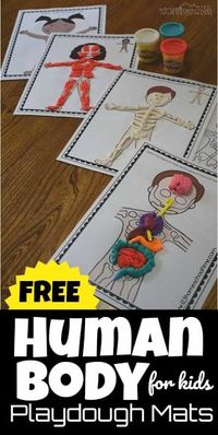 This fun hands-on human body for kids activity is such a fun way to learn about our amazing bodies! These free printable Human Body Playdough Mats are a fun way for kids of all ages to learn about what is inside our body. Children will make a play doh human body with these playdough mats to learn about our  bones, skeletal system, muscles, organs, play doh digestive system, and more! Use these playdough mats as part of a study of the human body for kids study with toddler, preschool, pre k, kind