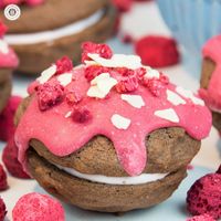 PinShareTweetEmail65 Shares Send love to the special ones in your life with scrumptious raspberry chocolate whoopie pies! These cookies have a soft, cakey texture and a fruity, melt-in-your-mouth filling. We love the combination of chocolate and...