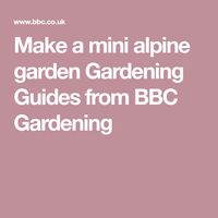 Make a mini alpine garden Gardening Guides from BBC Gardening