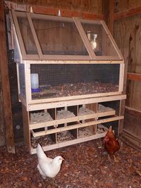 Brooder and nest boxes | The brooder lid can be held open wi… | Flickr