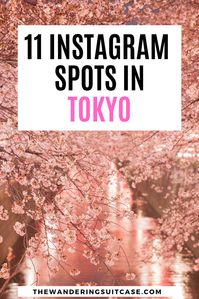 Instagrammable places in Tokyo, Japan | Instagram spots in Tokyo | Photographic places in Tokyo | Places to go in Japan | influencers in Japan | Things to do in Japan via @wanderingsuitca