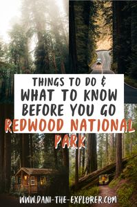 Ready to see all the best things to do in Redwood National Park? Click on this blog! It also includes a packing list, photography inspo and everything you need to know before you go! #california #travel #hiking #adventuretravel #travelblogger