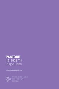 FHI Nylon Brights TN · Pantone