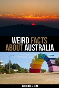 Did you know that Australia has the longest fence in the world? Or that Melbourne was nearly called Batmania? That kangaroos outnumber people in Australia? And that Oz is home to the most venomous creature in the world... and it's not a snake or spider? Australia is beautiful, diverse but also undeniably odd. Here are some weird facts about Australia, that you may or may not have known.