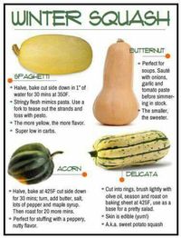 Winter Squash