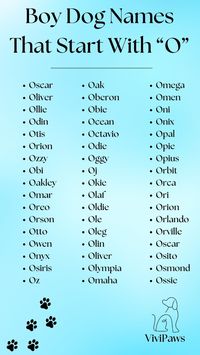 Explore our outstanding collection of 50 boy dog names starting with 'O'! From Oscar to Ossie, find the perfect 'O' name that's as original and awesome as your pup. Pick a name that's as optimistic and outgoing as he is! 🌟🐾 #BoyDogNames #NamesStartingWithO #PuppyNames