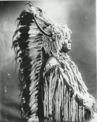 Julius Williams (Cayuse), wearing his magnificent horned bonnet (now at Cody, NA.203.1656).