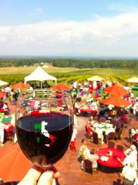 Raffaldini Vineyards - Rhonda, NC (their annual Italian Festival is a must!)