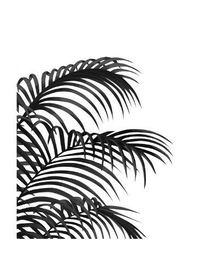 size: 12x9in Art Print: Palm Leaf 1, Black On White by Fab Funky :