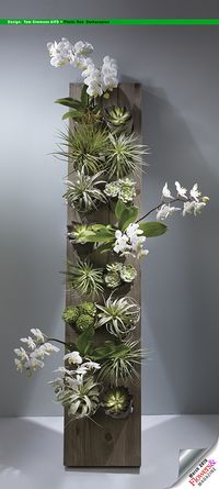 This vertical garden is a fabulous gift for mom with dendrobium orchid plants, succulents and succulents and tillandsias. Design by Tom Simmons AIFD. Photography by Ron Derhacopian. #freshflowers #floral design #Flowers&