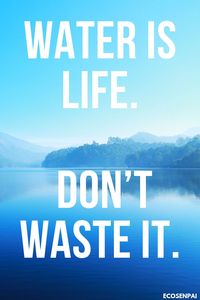 Best quotes to live by a daily reminder & Inspirational Quotes to keep you motivated in your life and to realize what is really important in life. quotes to live by good advice, Deep Meaningful that Make You Think about our beautiful world and how to take care of it in the right way. Environmentally friendly living quotes that make every day earth day. Go green! Take care of the planet's life! green is so beautiful, let's not destroy it, start caring. #nature#ocean#quote#inspiration#motivation