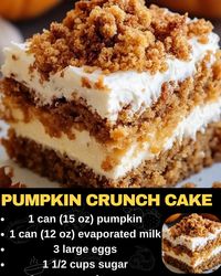 Pumpkin Crunch Cake  Ingredients:  1 can (15 oz) pumpkin 1 can (12 oz) evaporated milk 3 large eggs 1 1/2 cups sugar 1 teaspoon cinnamon 1/2 teaspoon salt 1 box yellow cake mix 1 cup pecans, chopped 1 cup butter, melted Cool Whip, for topping  Directions:  Preheat your oven to 350°F (175°C). Gr...