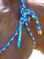 Savvy Horsewoman: Top 10 DIY Gifts for Horse Lovers