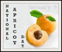 National Apricot Day; January 9th.