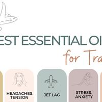 Holly Brandenberger | Essential Oil Education on Instagram: "🌿Tips for Traveling with Essential Oils🌿
⠀⠀
I find essential oils incredibly beneficial while traveling because when we are changing up our routine, it impacts our bodies in so many different areas. We are exposed to different foods, different experiences, different aromas and different sleep patterns. Traveling within itself may be very stressful.
⠀⠀
At the bare minimum I always make sure I take a peppermint roller (5 drops in a 5ml roller with carrier oil), a lavender roller (5 drops in 5ml roller) and a calming inhaler (I alternate what I use but one of my favorites is white spruce, bergamot and orange), and either a small chest salve or roller with eucalyptus. I also make sure I pack my hormone support roller.
⠀⠀
A few tips