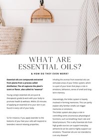 A BEAUTIFUL & SIMPLE APPROACH TO ESSENTIAL OILS.