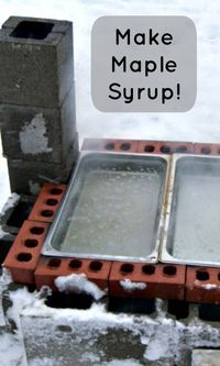 How to Make Maple Syrup - lifefromthegroundup.us