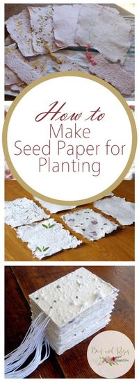 Make your own plantable seed paper favors! This seed paper DIY project is fun and educational for kids of all ages!