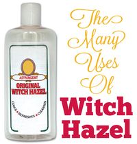 Amazing Witch Hazel…The Medicinal Marvel With The Funny Name!