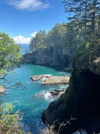 washington, hiking aesthetic, cape flattery, pnw, pnw aesthetic, granola girl