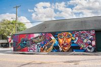 Street Murals in Tampa Bay Florida and Where to Find Them