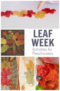 A week of simple activities for preschoolers on the theme of leaves featuring the book Leaf Man by Lois Ehlert from the Virtual Book Club for Kids.  #fallthemes #preschoolactivities #vbcforkids