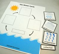 The Water Cycle Worksheet - 2-page digital download - Put the picture cards in the correct order - use as a cut and paste activity or laminate both sheets and attach hook & loop dots (velcro dots) to each piece to make this a reusable activity worksheet **This is a DIGITAL DOWNLOAD. No physical product will be mailed to you.  You will receive a PDF file for printing on regular 8.5"x11" paper.  - - - - - - - NOTE: This printable is intended for personal use only. Not for resale. You may not copy, alter or share these digital files. Thank you!