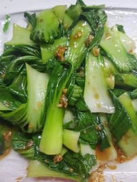 Oyster Sauce Bok Choy – Naina's Kitchen