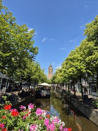 #netherlands #canal #holland #delft #delftblue #summer